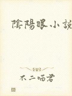 阴阳眼小说