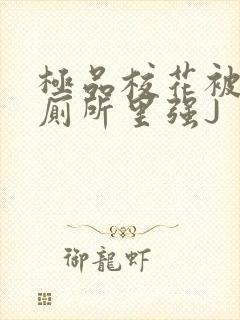 极品校花被拉到厕所里强J