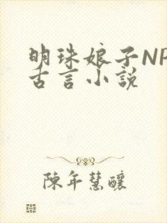 明珠娘子NPC古言小说