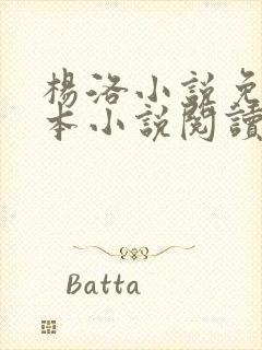 杨洛小说免费全本小说阅读