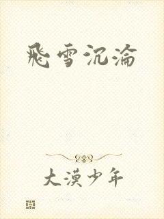 飞雪沉沦