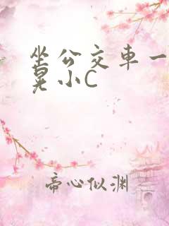 坐公交车一摇一晃小C