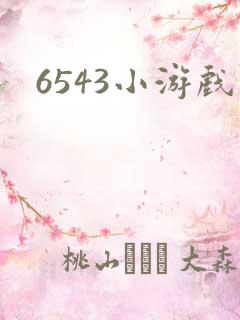 6543小游戏