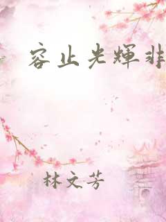 容止光辉非世人