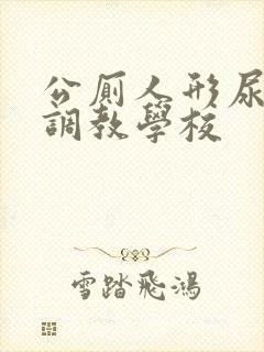 公厕人形尿便器调教学校