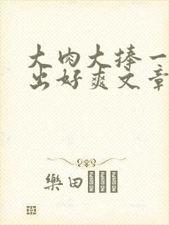 大肉大捧一进一出好爽文章