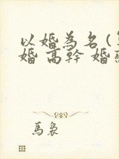 以婚为名 (军婚 高干 婚恋)