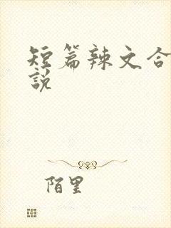 短篇辣文合集小说