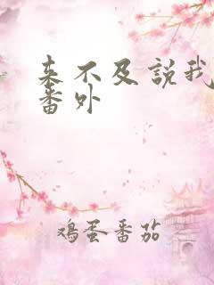 来不及说我爱你番外