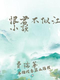 恨君不似江楼月小说