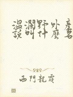 温澜野外产子小说叫什么名字