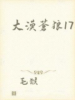 大漠苍狼17