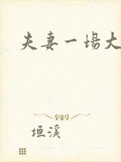 夫妻一场大结局