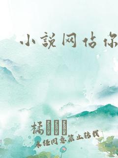 小说网站你懂的