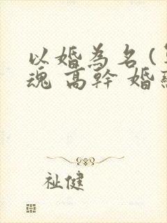 以婚为名 (军魂 高干 婚恋)