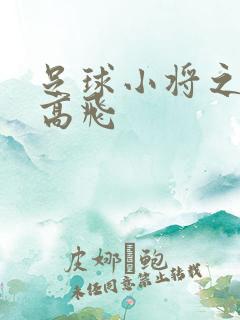 足球小将之展翅高飞