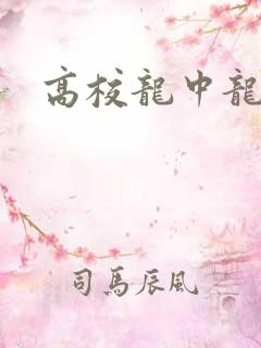 高校龙中龙全集