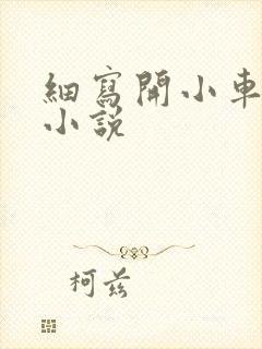 细写开小车车的小说