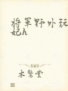 将军野外玩弄贵妃h