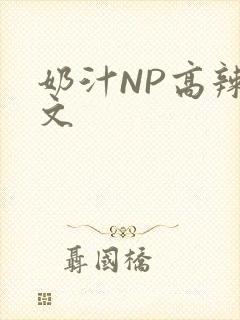 奶汁NP高辣H文