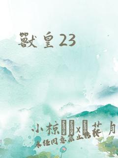 兽皇23