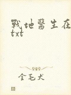 战地医生在都市txt