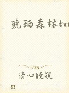 琥珀森林txt
