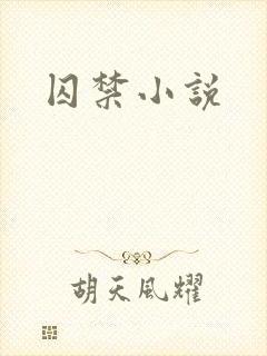 囚禁小说