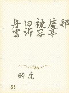 丹田被废那些年云沂容亭