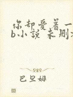 你却爱着一个sb小说 未删减完整版百度云