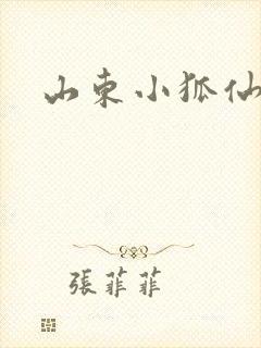 山东小狐仙