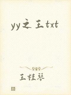 yy之王txt