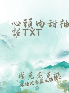 心头肉甜柚子小说TXT