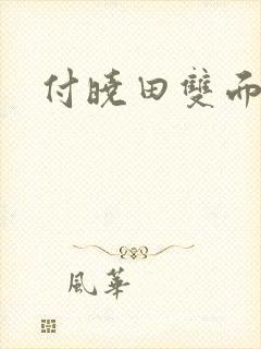 付晓田双面间谍