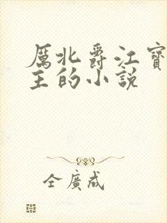 厉北爵江宝宝男主的小说