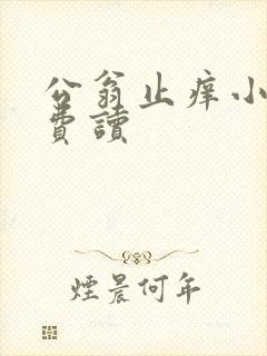 公翁止痒小说免费读