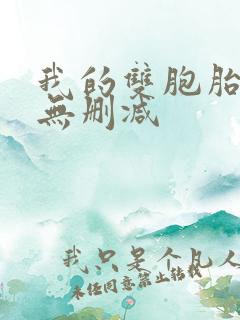 我的双胞胎老婆无删减