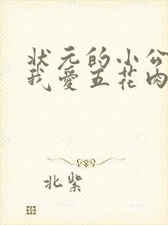 状元的小公主(我爱五花肉)