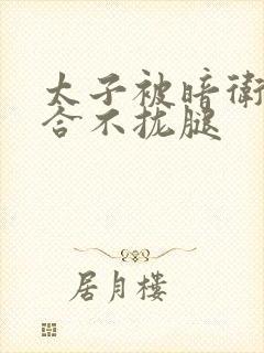 太子被暗卫c到合不拢腿