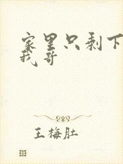 家里只剩下我和我哥