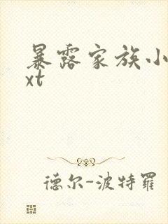 暴露家族小说txt