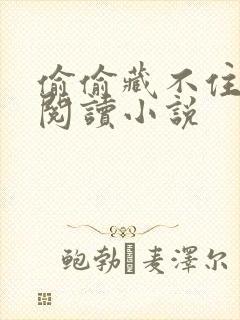 偷偷藏不住免费阅读小说