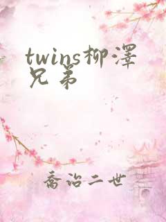 twins柳泽兄弟