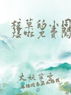 校草的小同桌撩爆啦免费阅读