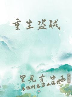 重生盗贼