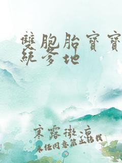 双胞胎宝宝的总统爹地