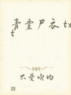 青囊尸衣 txt