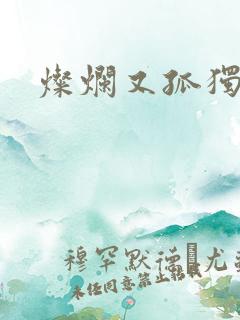 灿烂又孤独的神