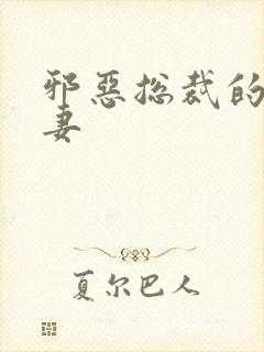 邪恶总裁的替身妻