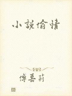 小说偷情